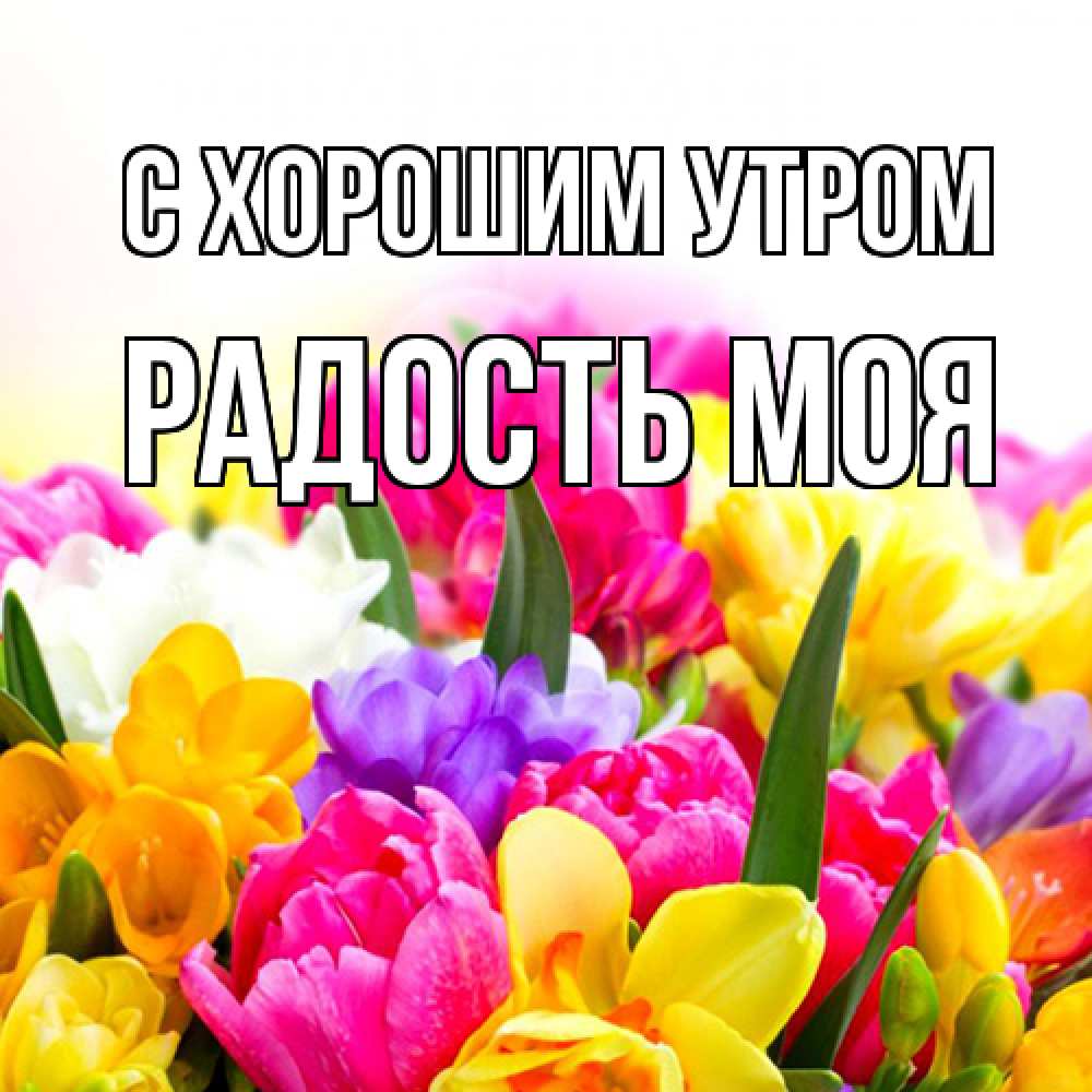 Открытка на каждый день с именем, Радость-моя С хорошим утром создать открытку со свое подписью Прикольная открытка с пожеланием онлайн скачать бесплатно 