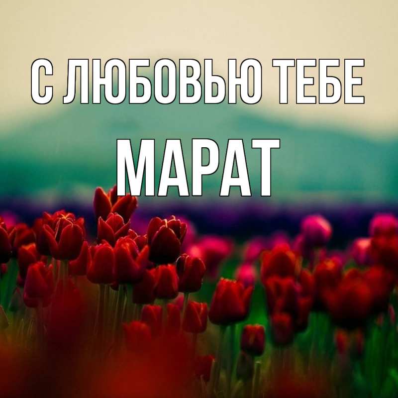 Картинка С любовью тебе, Марат