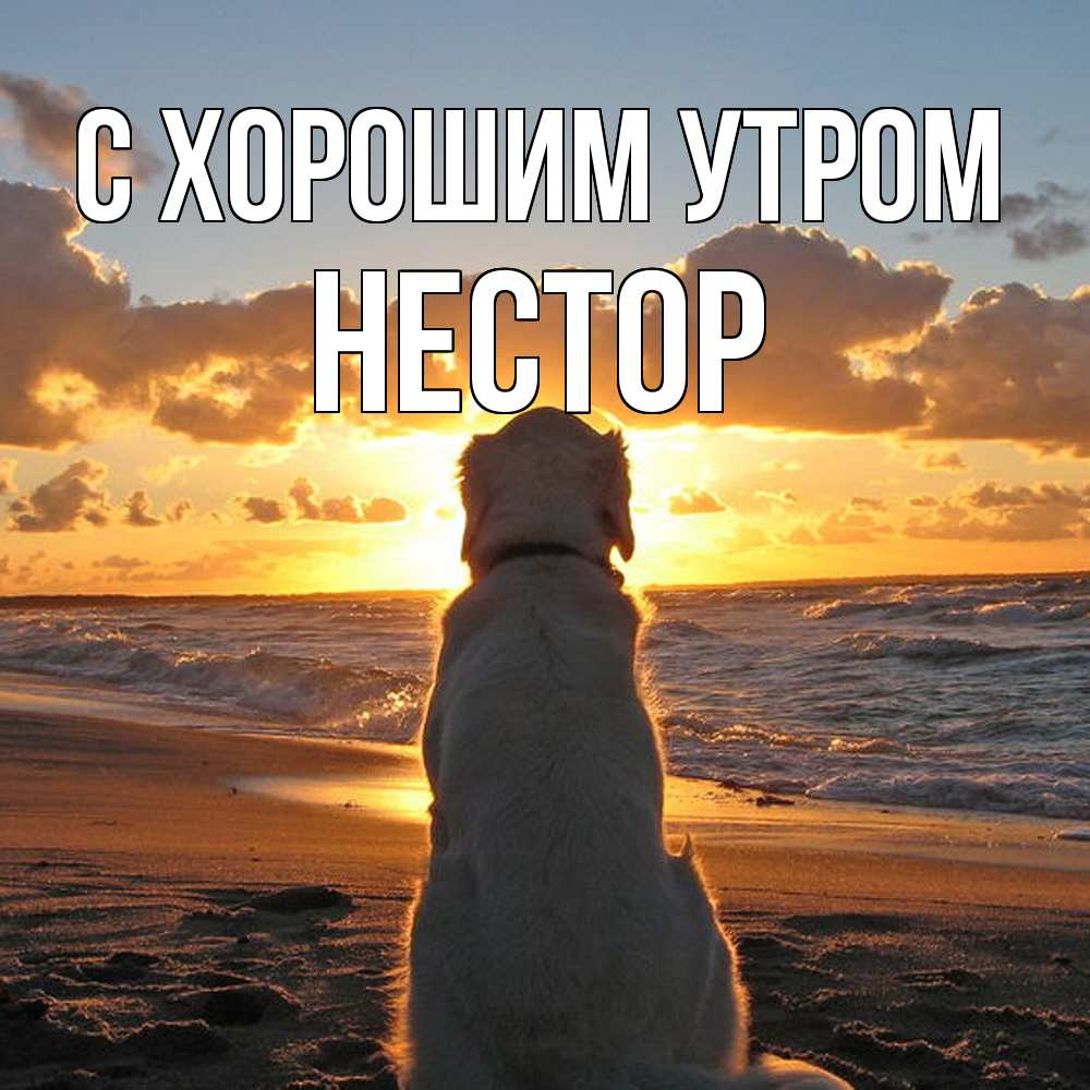 Открытка на каждый день с именем, Нестор С хорошим утром восход солнца Прикольная открытка с пожеланием онлайн скачать бесплатно 