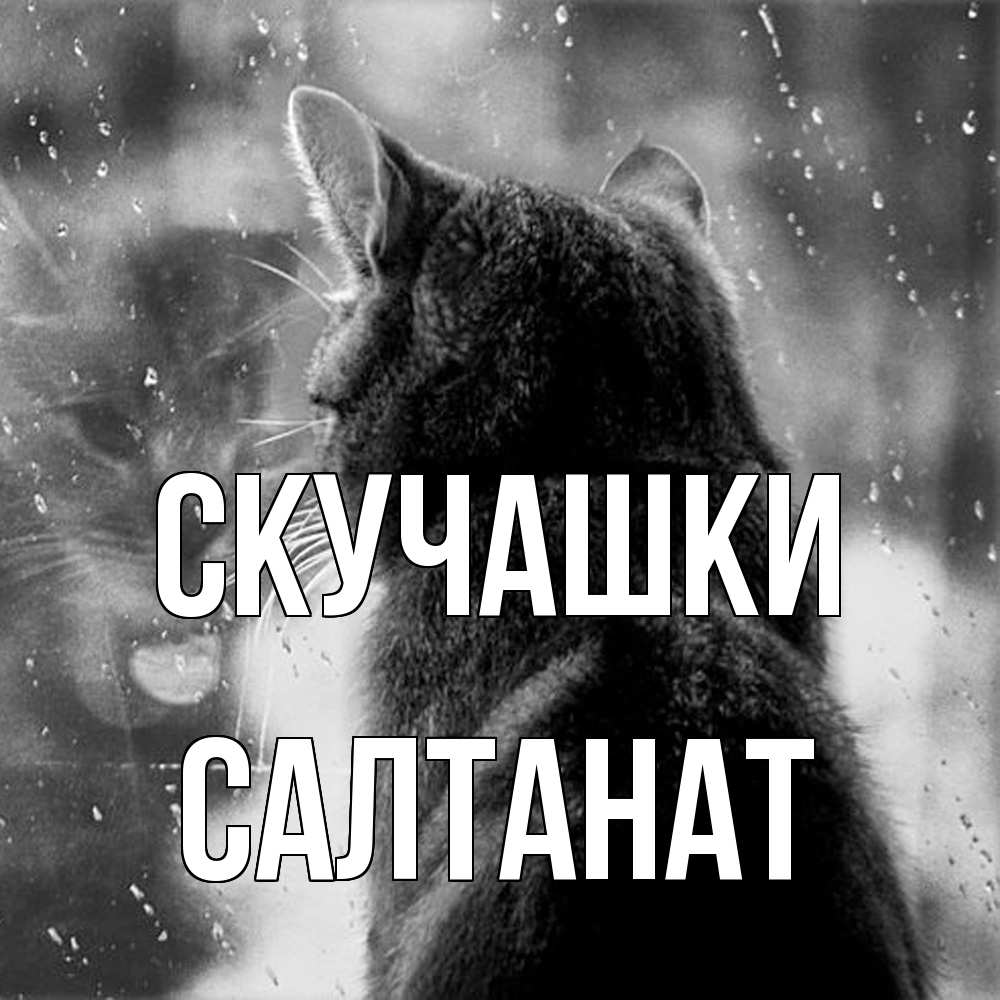 Открытка на каждый день с именем, Салтанат Скучашки скорее ко мне приходи 1 Прикольная открытка с пожеланием онлайн скачать бесплатно 