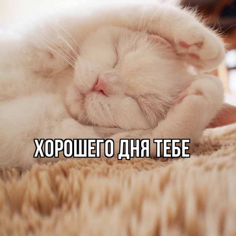 Открытка с именем, Никита, Я жду тебя