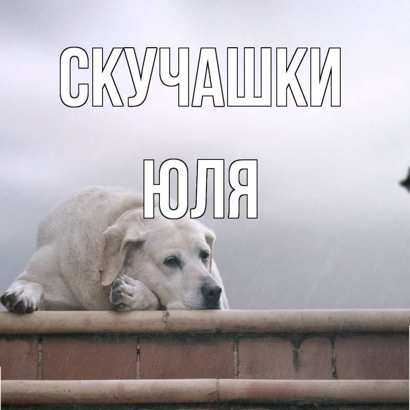 Картинка Скучашки, Юля
