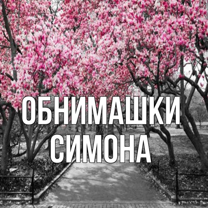 Картинка Обнимашки, Симона