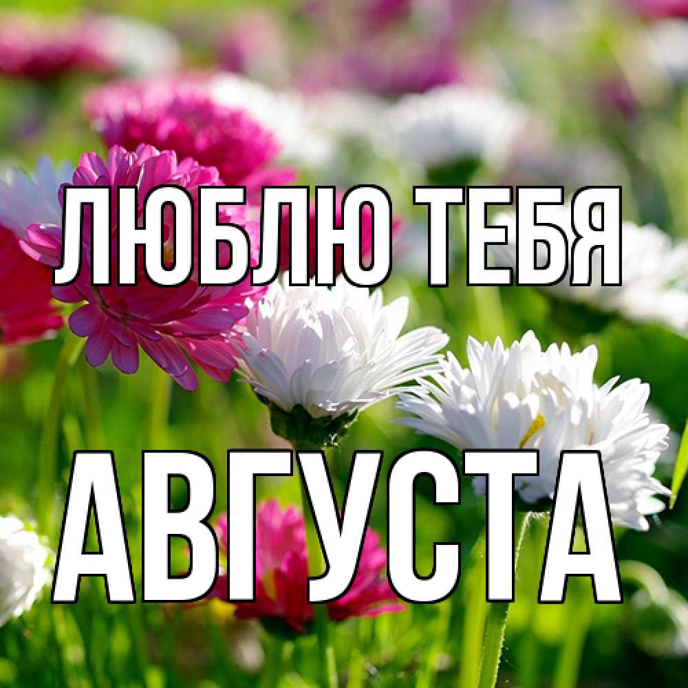 Открытка на каждый день с именем, Августа Люблю тебя международный женский день 1 Прикольная открытка с пожеланием онлайн скачать бесплатно 