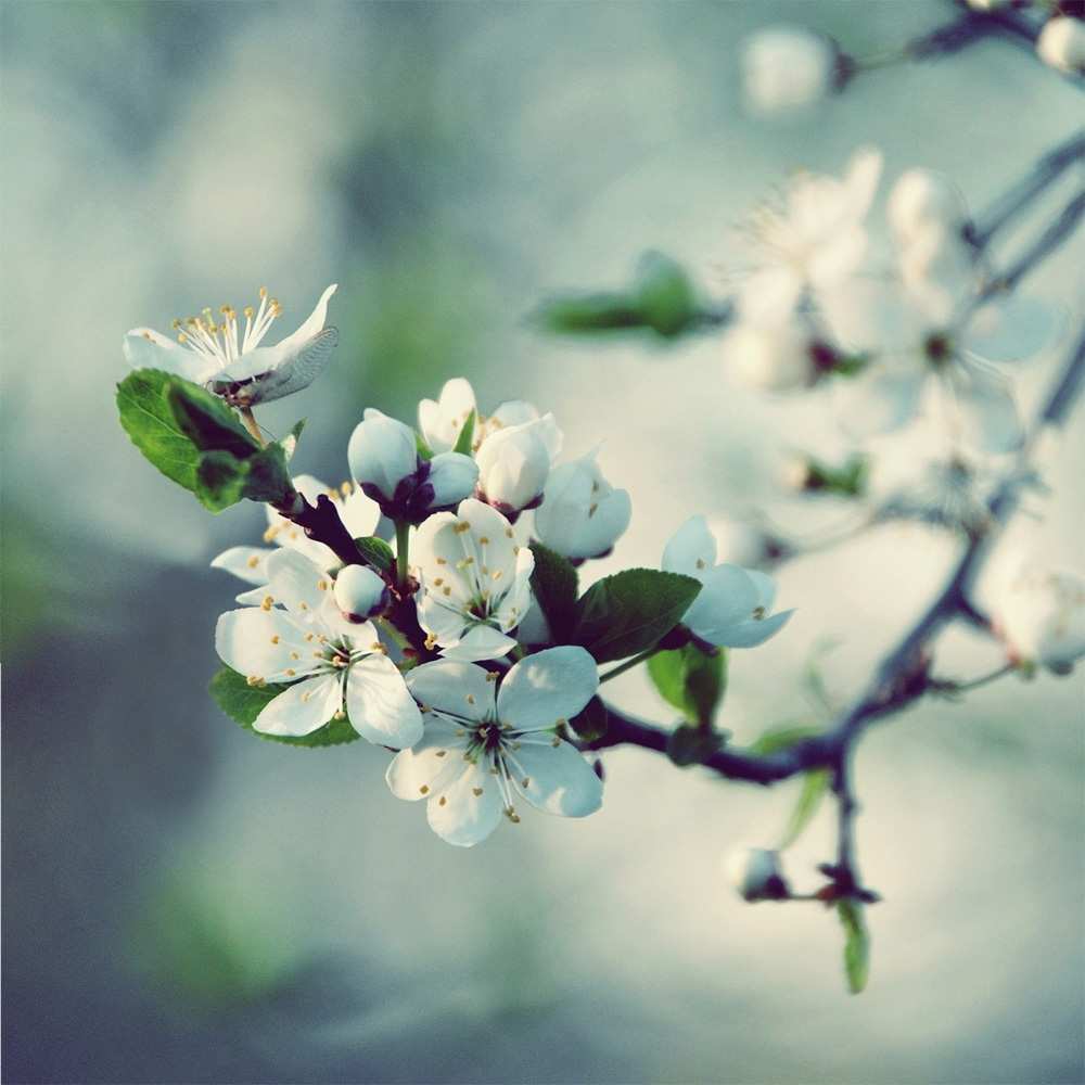 Открытка на каждый день с именем, Рубен Скучашки весна Прикольная открытка с пожеланием онлайн скачать бесплатно 