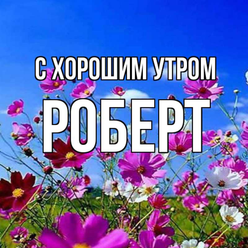 Картинка С хорошим утром, Роберт