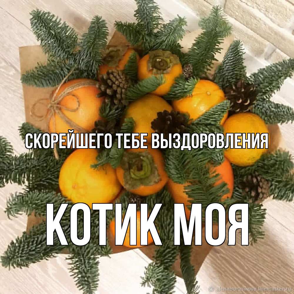 Открытка на каждый день с именем, Котик-моя Скорейшего тебе выздоровления апельсины и хурьма Прикольная открытка с пожеланием онлайн скачать бесплатно 