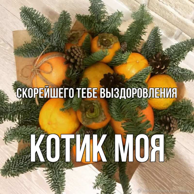 Картинка Скорейшего тебе выздоровления, Котик моя