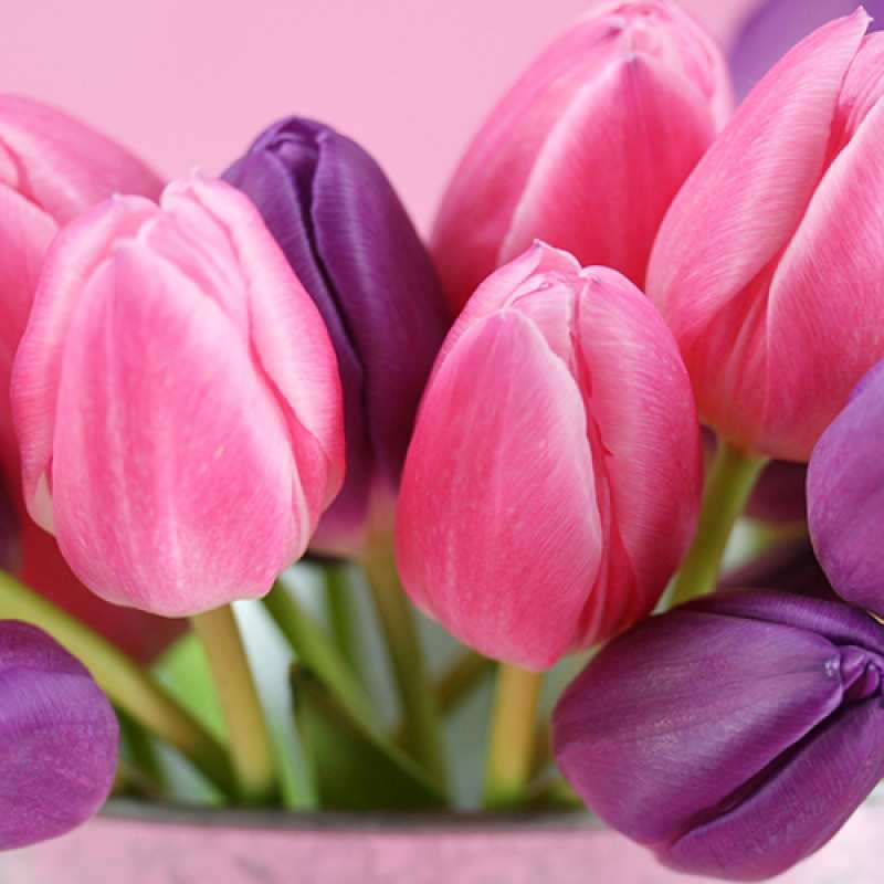 Картинка Люблю тебя, Коля