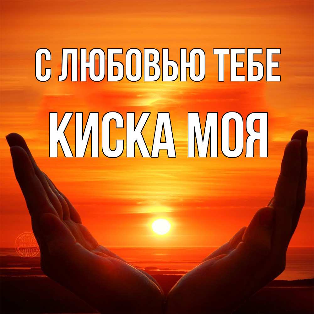 Открытка на каждый день с именем, Киска-моя С любовью тебе в руках Прикольная открытка с пожеланием онлайн скачать бесплатно 