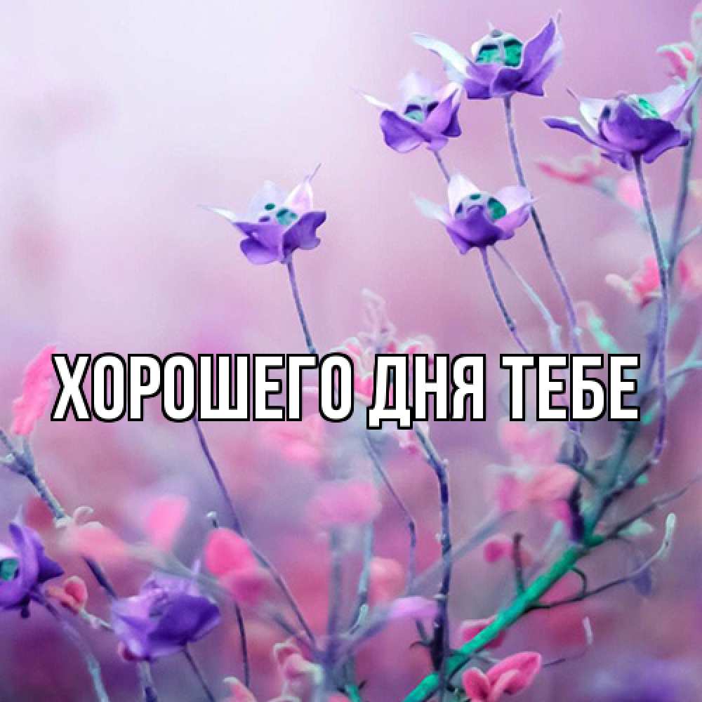 Открытка на каждый день с именем, Кирилл Люблю тебя международный женский день 2 Прикольная открытка с пожеланием онлайн скачать бесплатно 