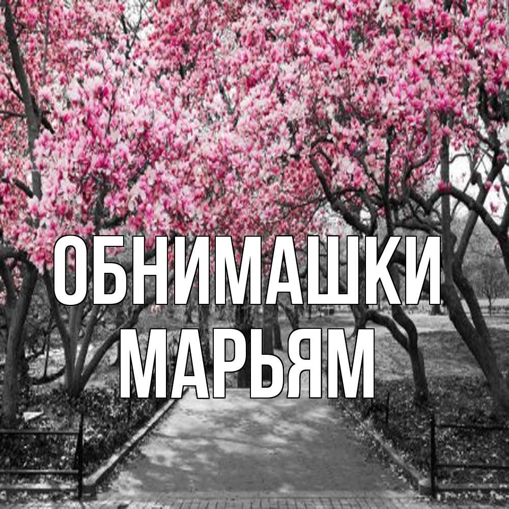 Открытка на каждый день с именем, Марьям Обнимашки обработанное фото Прикольная открытка с пожеланием онлайн скачать бесплатно 
