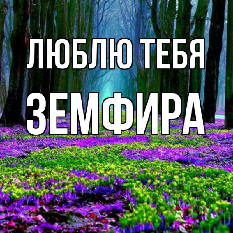 Картинка Люблю тебя, Земфира