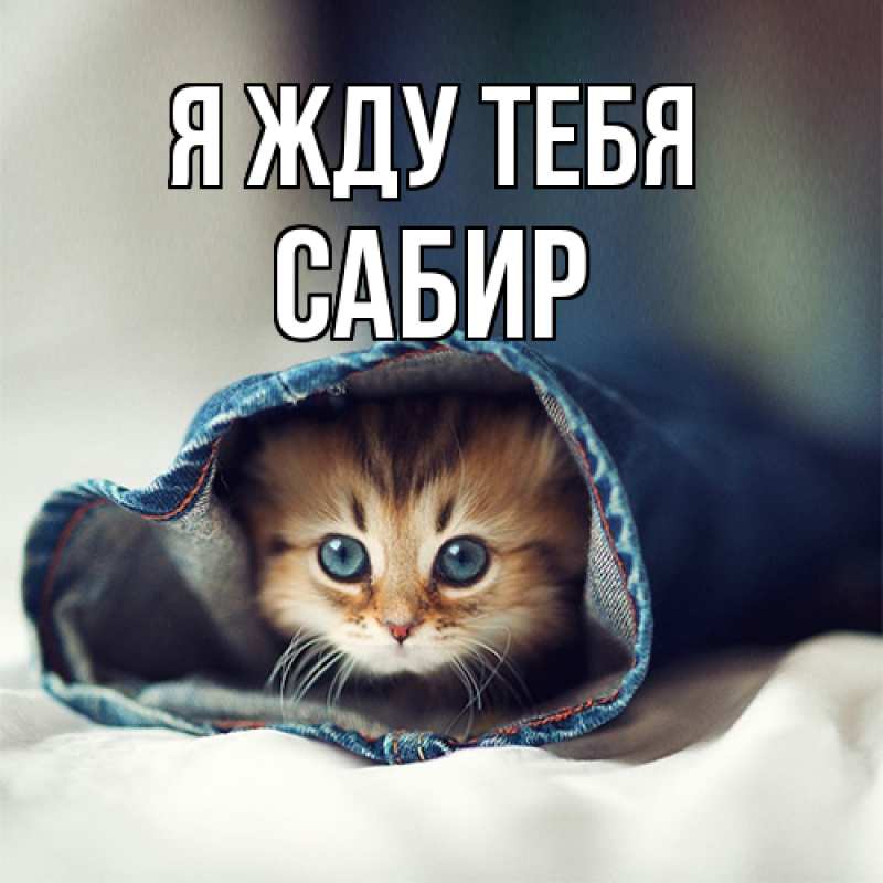 Картинка Я жду тебя, Сабир