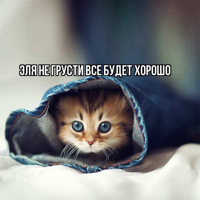 Картинка Не грусти, все будет хорошо, Эля