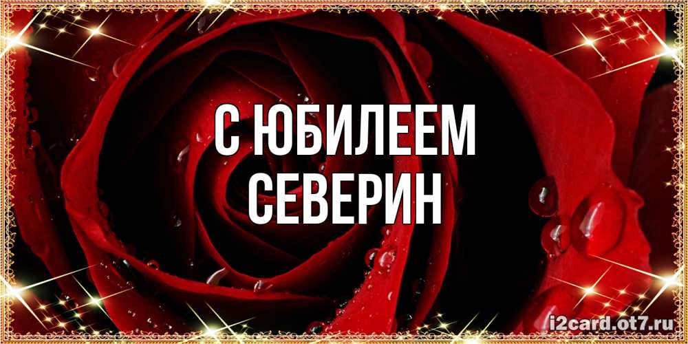 Открытка на каждый день с именем, Северин C юбилеем цветок в росе на день рождения Прикольная открытка с пожеланием онлайн скачать бесплатно 
