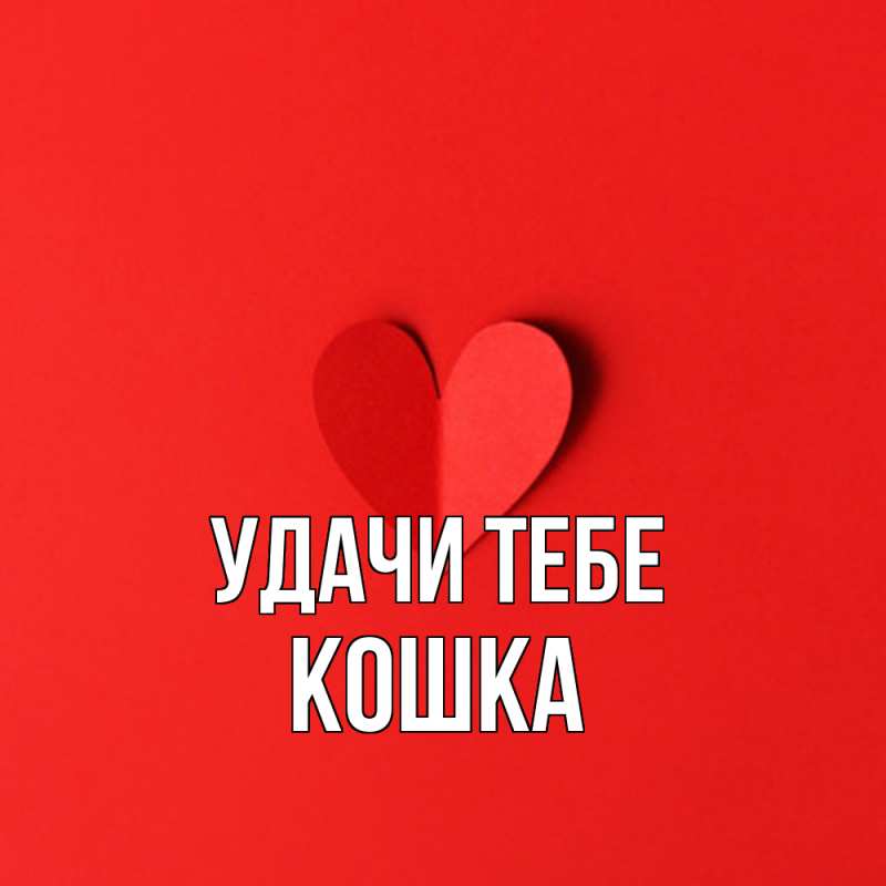 Картинка Удачи тебе, Кошка