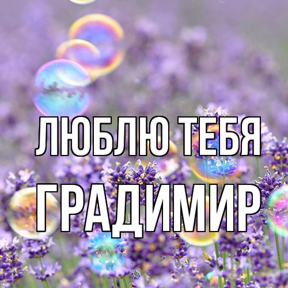 Открытка на каждый день с именем, Градимир Люблю тебя цветы Прикольная открытка с пожеланием онлайн скачать бесплатно 