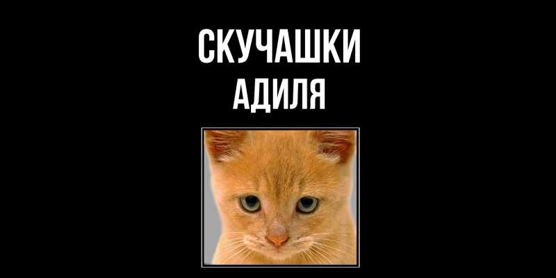 Открытка с именем, Адиля, Скучашки