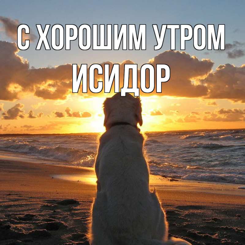 Открытка с именем, Исидор, С хорошим утром