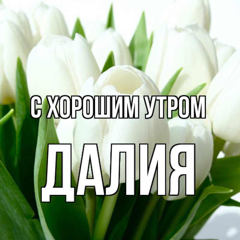 Картинка С хорошим утром, Далия