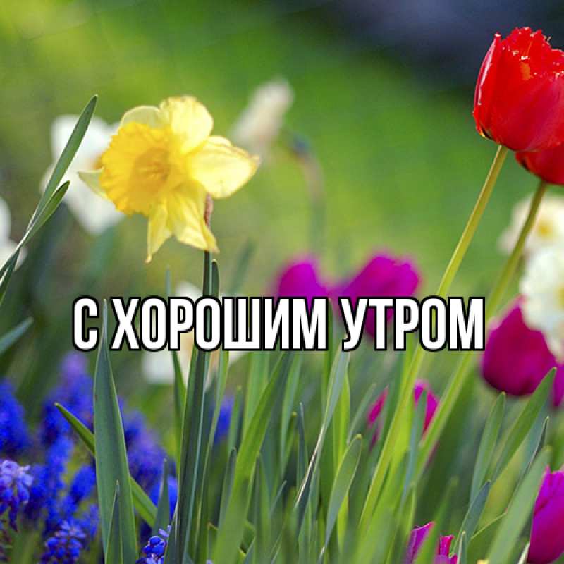 Картинка Люблю тебя, Женя