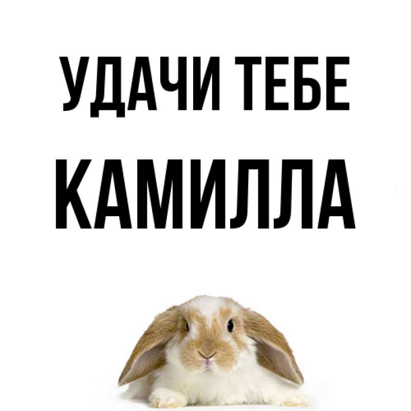 Картинка Удачи тебе, Камилла