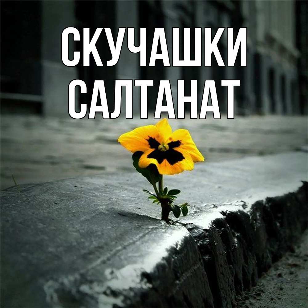 Открытка на каждый день с именем, Салтанат Скучашки надеюсь будет лучше Прикольная открытка с пожеланием онлайн скачать бесплатно 