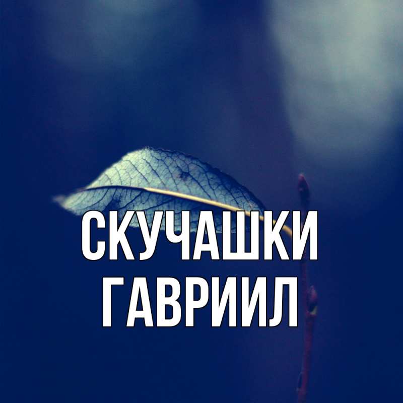 Картинка Скучашки, Гавриил