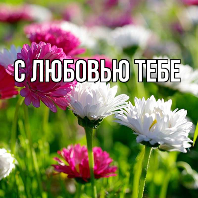 Картинка Люблю тебя, Май