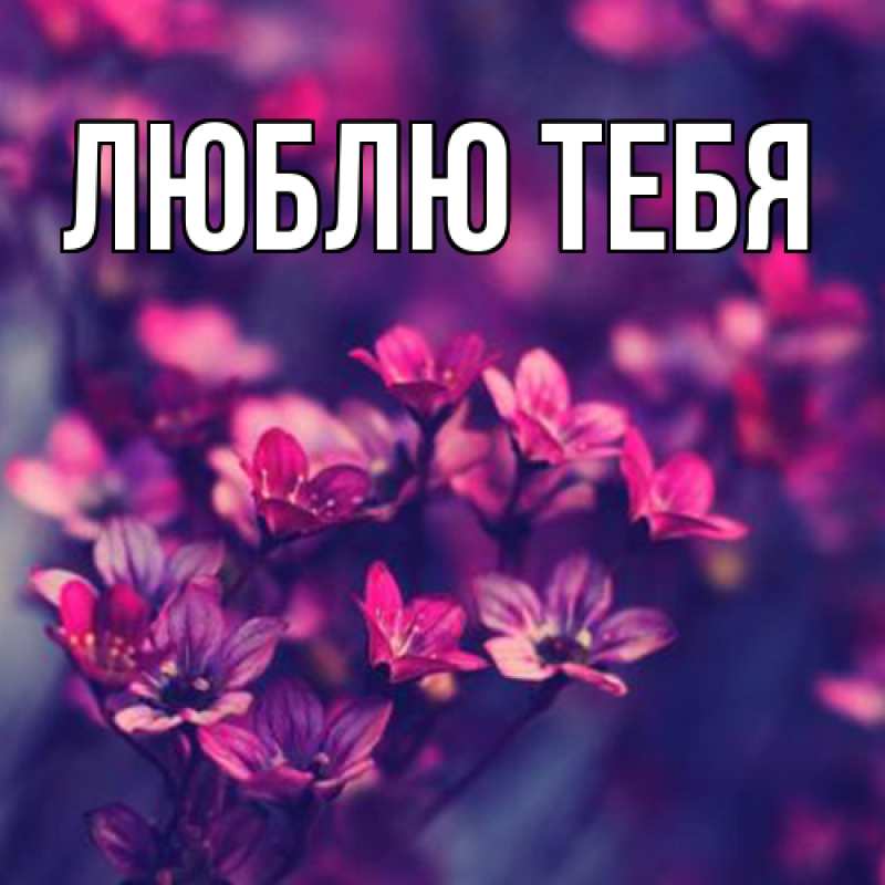 Открытка с именем, открытка бесплатно, Люблю тебя