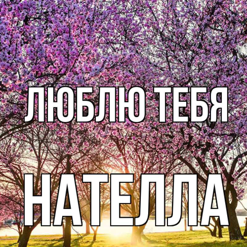 Картинка Люблю тебя, Нателла