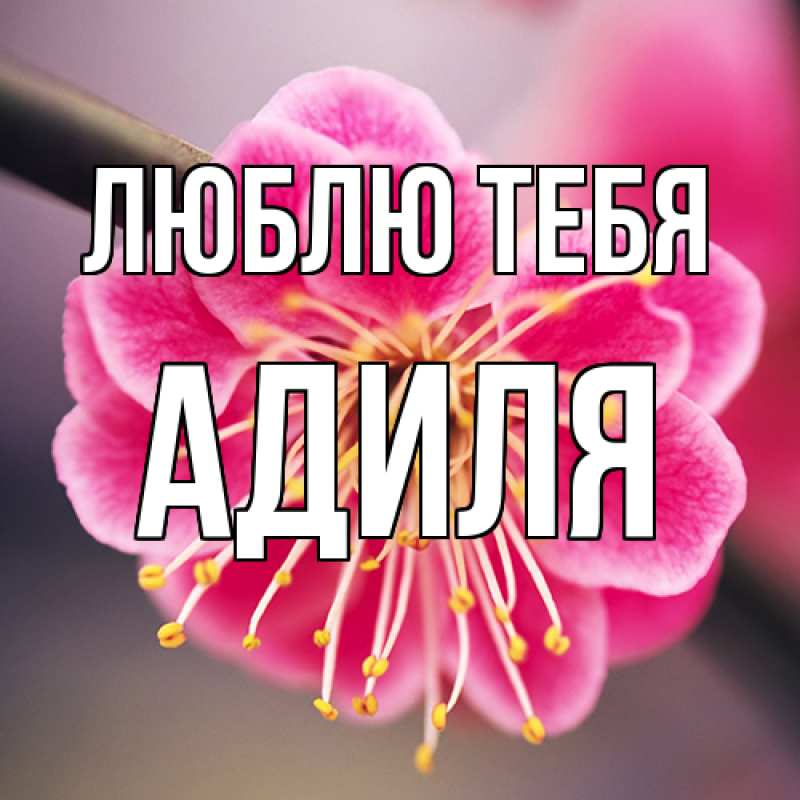 Открытка с именем, Адиля, Люблю тебя