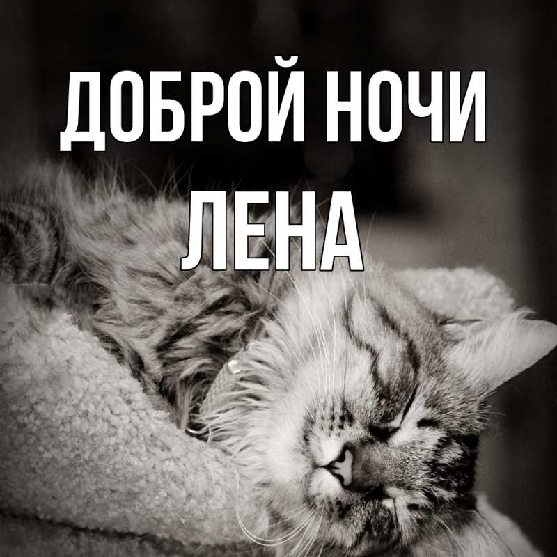 Картинка Доброй ночи, Лена