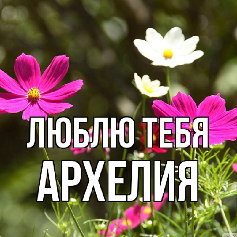 Картинка Люблю тебя, Архелия