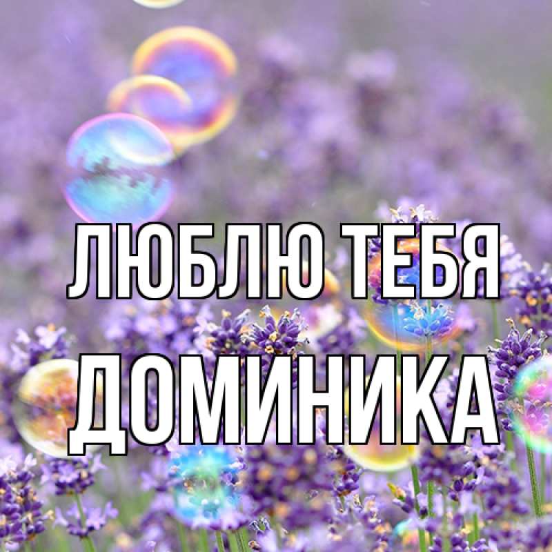 Картинка Люблю тебя, Доминика