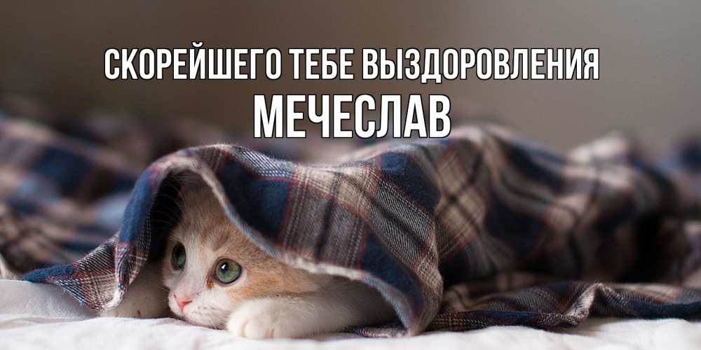 Открытка на каждый день с именем, Мечеслав Скорейшего тебе выздоровления не болейте с котиком Прикольная открытка с пожеланием онлайн скачать бесплатно 