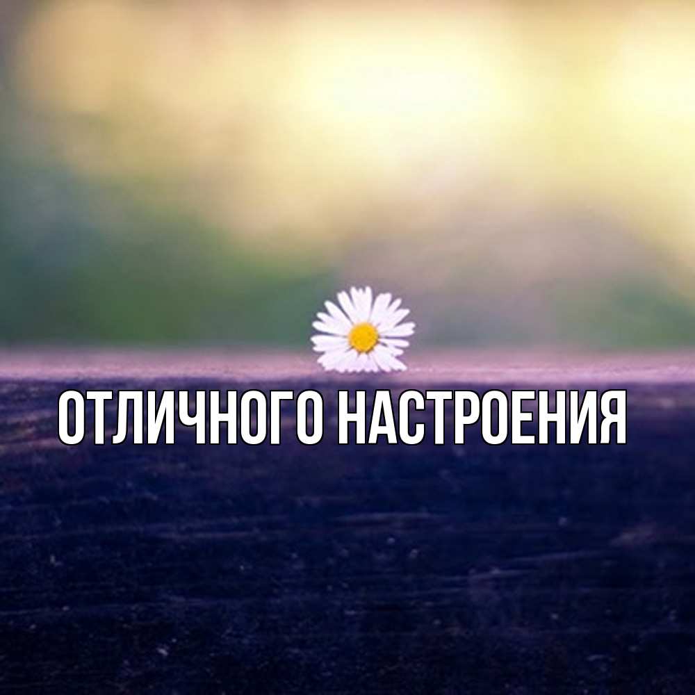 Открытка на каждый день с именем, Песподобная Скучашки приходи в гости Прикольная открытка с пожеланием онлайн скачать бесплатно 