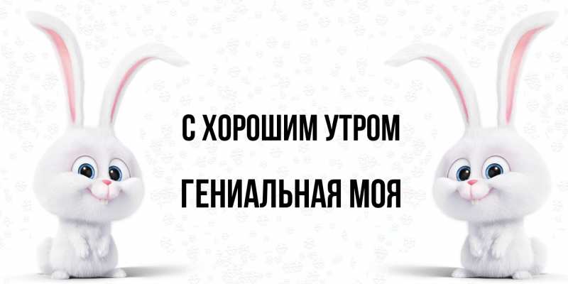 Картинка С хорошим утром, Гениальная моя