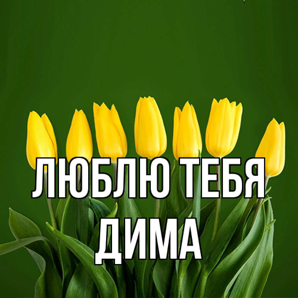 Открытка на каждый день с именем, Дима Люблю тебя желтого цвета 3 Прикольная открытка с пожеланием онлайн скачать бесплатно 