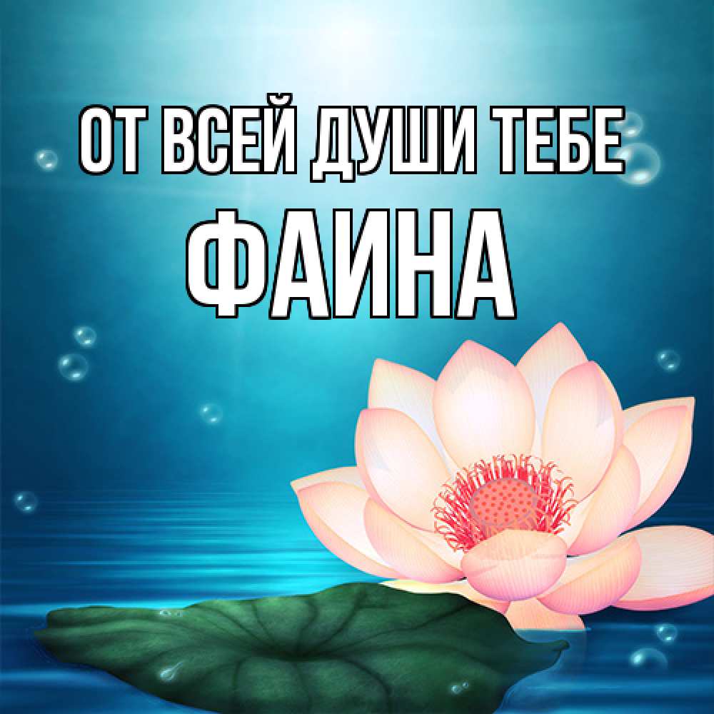 Открытка на каждый день с именем, Фаина От всей души тебе кувшинка Прикольная открытка с пожеланием онлайн скачать бесплатно 