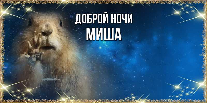 Картинка Доброй ночи, Миша