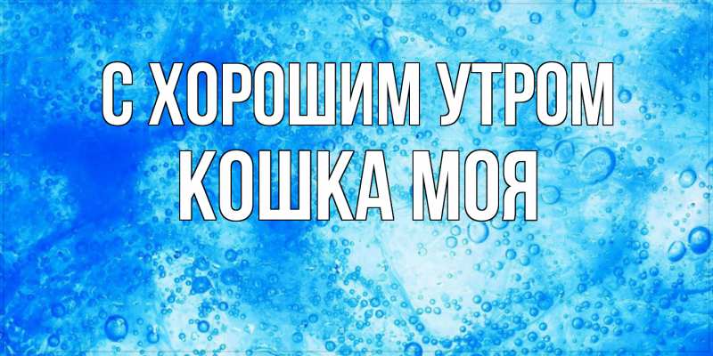 Картинка С хорошим утром, Кошка моя