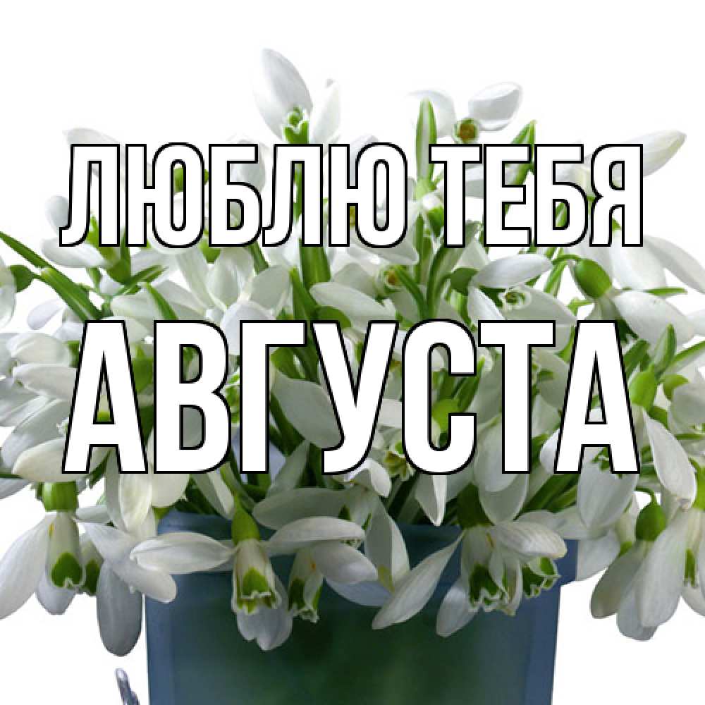 Открытка на каждый день с именем, Августа Люблю тебя цветы к международному женскому дню Прикольная открытка с пожеланием онлайн скачать бесплатно 