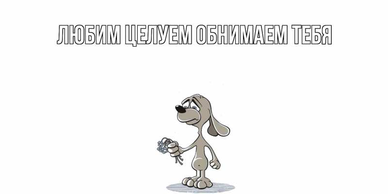 Картинка Не обижайся, Грациозная моя