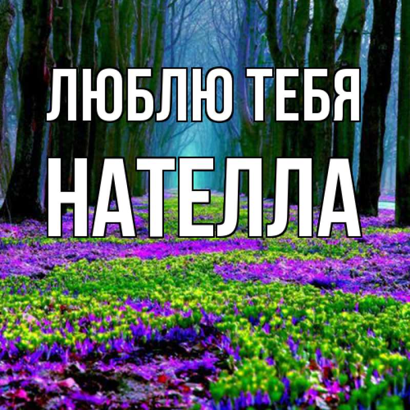 Картинка Люблю тебя, Нателла