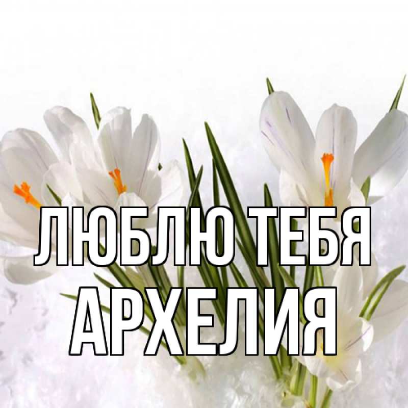 Картинка Люблю тебя, Архелия