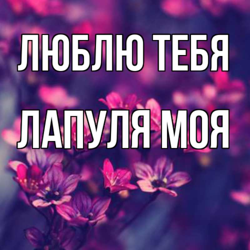 Картинка Люблю тебя, Лапуля моя