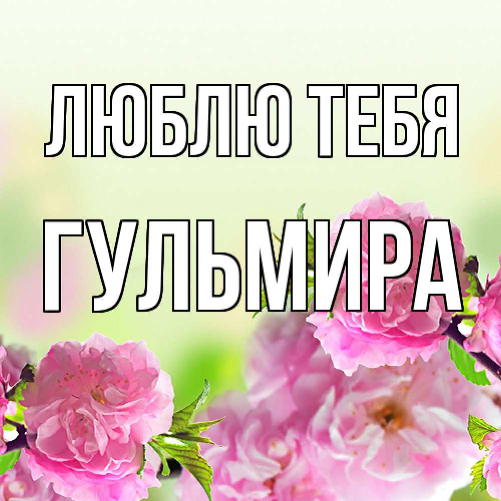Открытка на каждый день с именем, Гульмира Люблю тебя цветы Прикольная открытка с пожеланием онлайн скачать бесплатно 