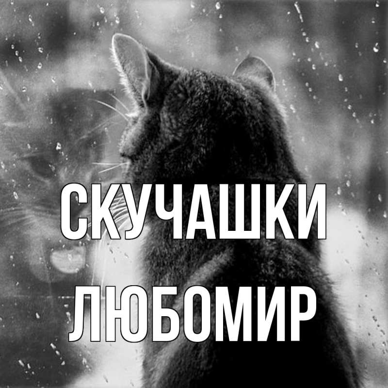 Открытка с именем, Любомир, Скучашки